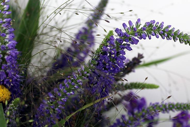 Bouquet silvestre