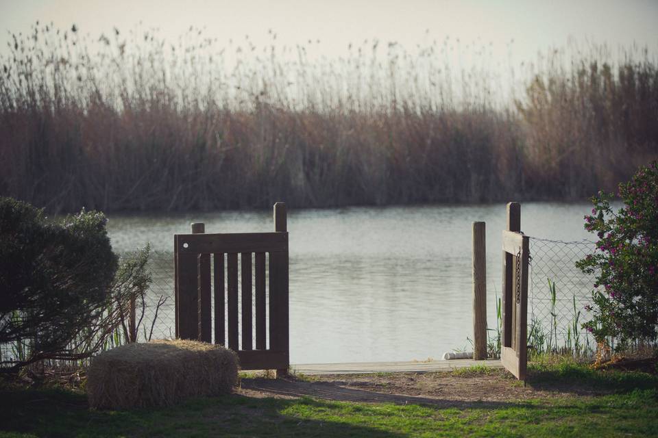 Albufera