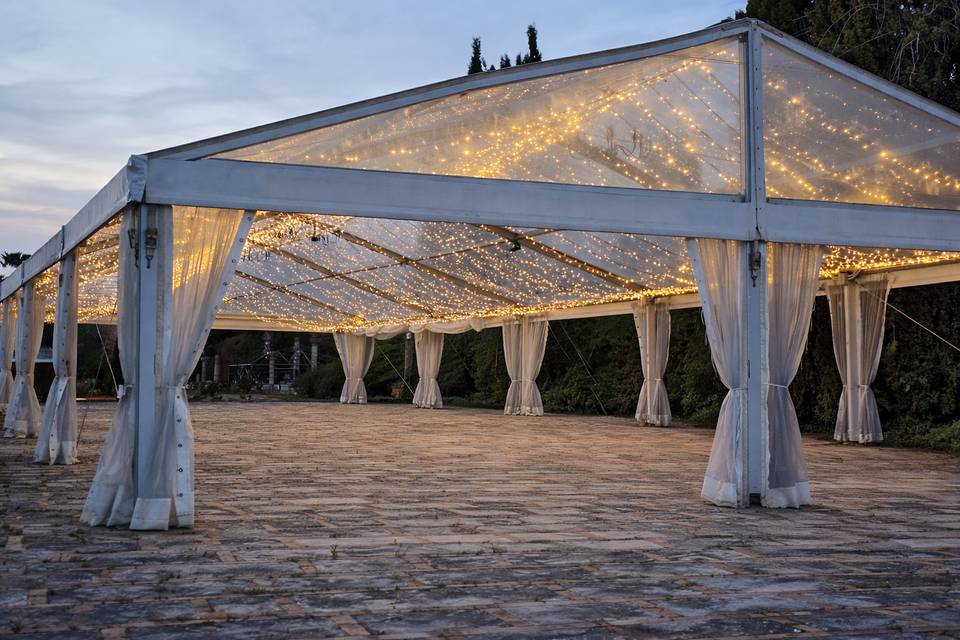 Carpas iluminadas