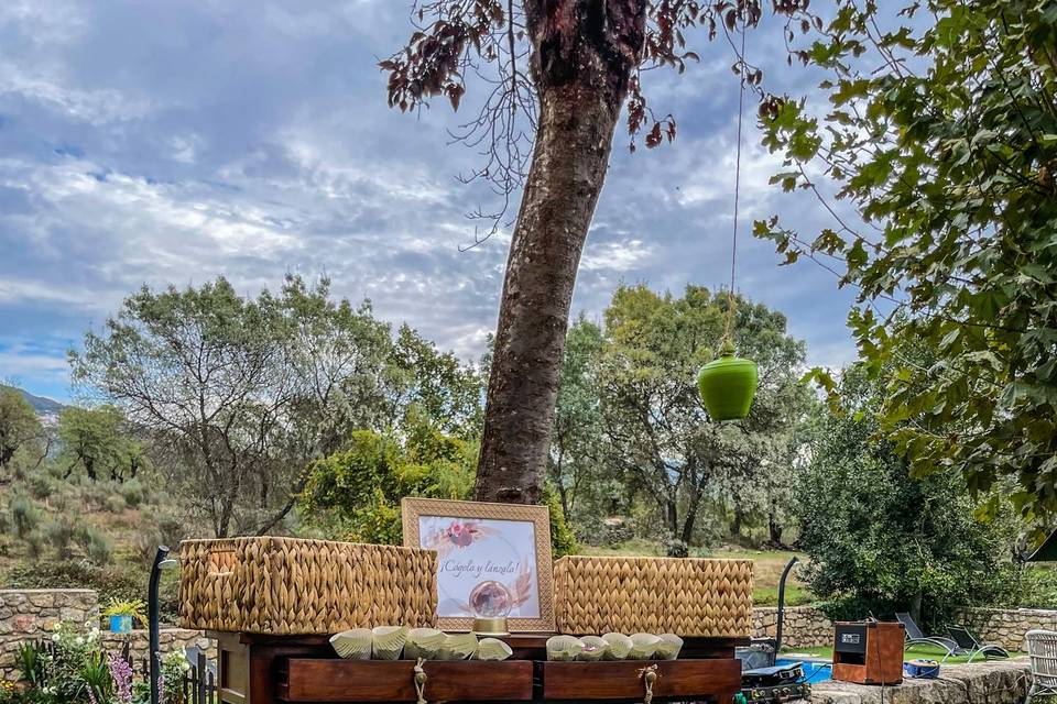 Celebraciones en el jardín