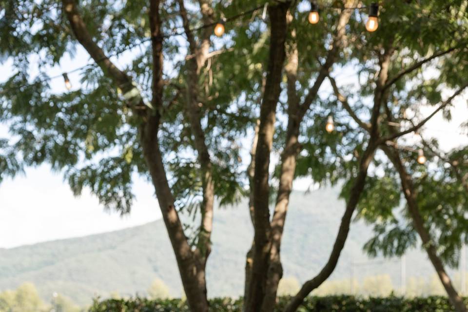 Finca Les Brides