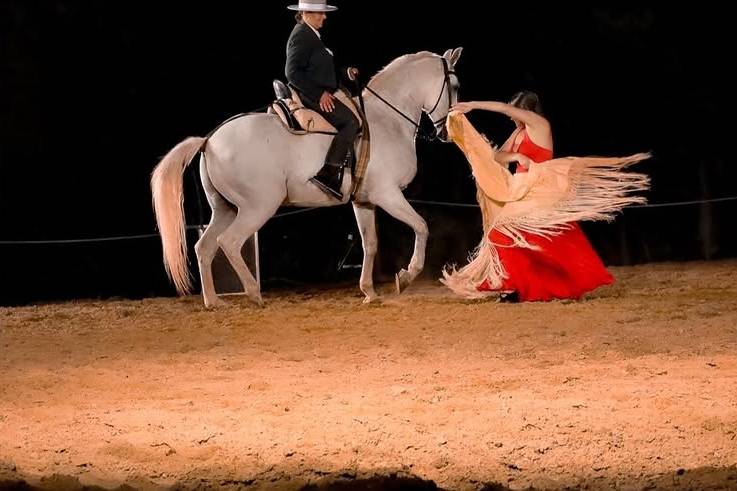 Espectáculo flamenco encueste