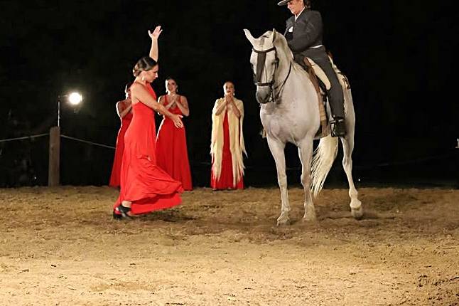 Flamenco con caballos