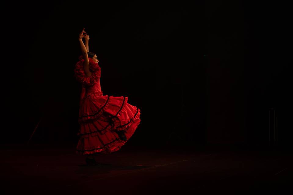 Espectáculos flamencos