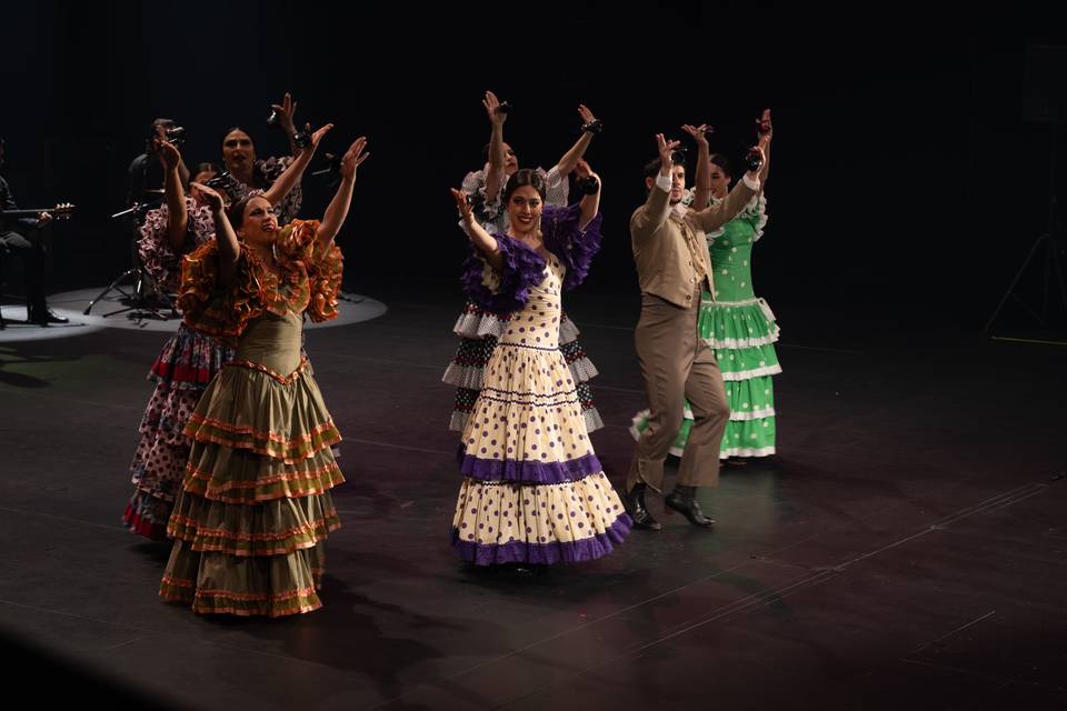 Espectáculos flamencos