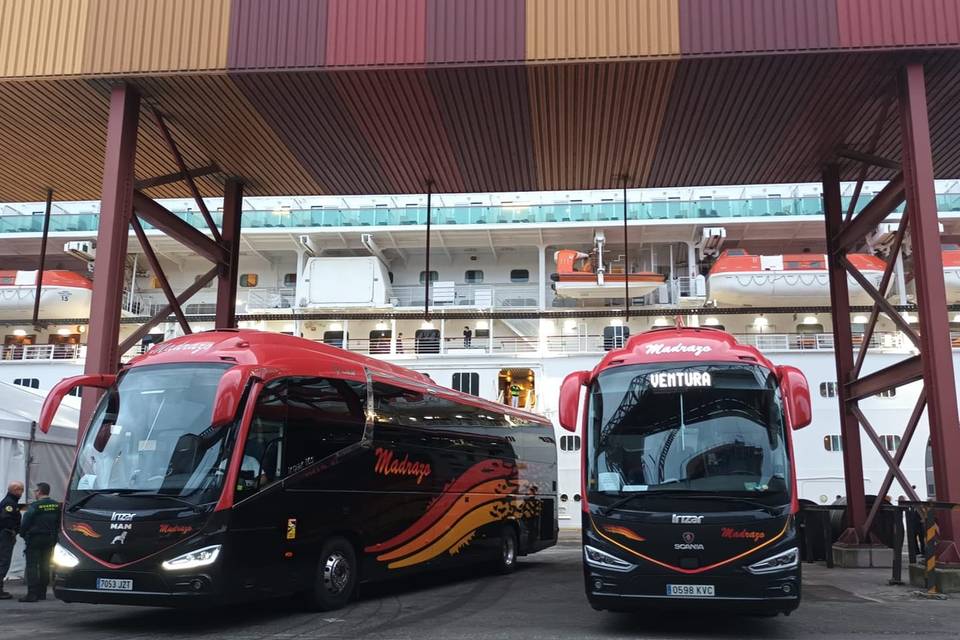 Autobuses Madrazo