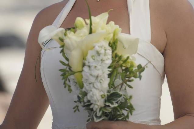 Elly - boda en la playa