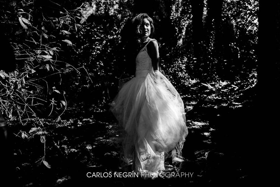 Carlos Negrin Photography