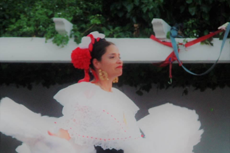 Danzas mexicanas