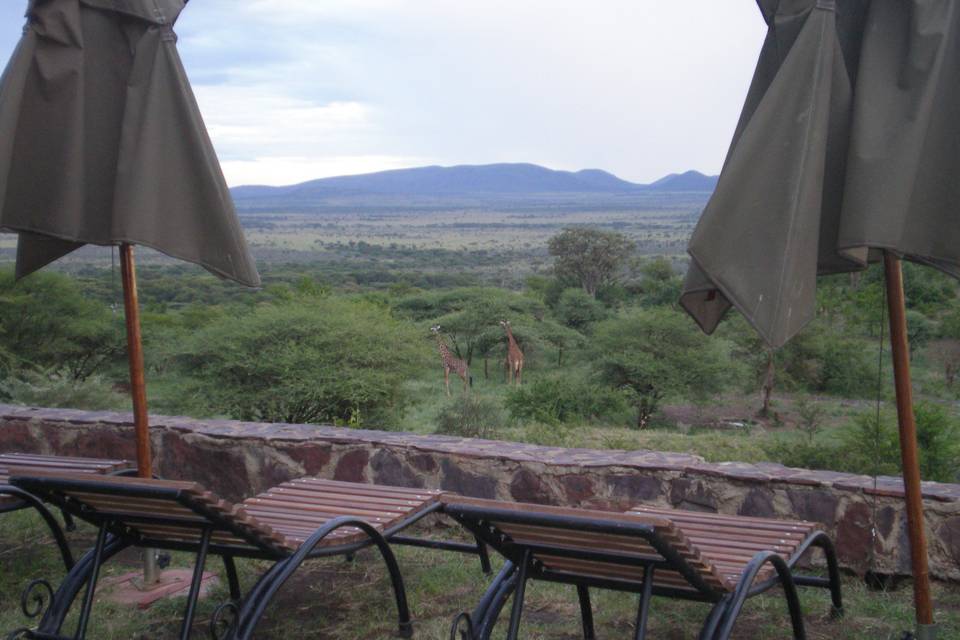 Tanzania, Serengueti