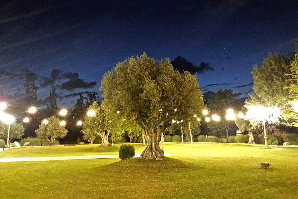 Jardín Casa Rosita