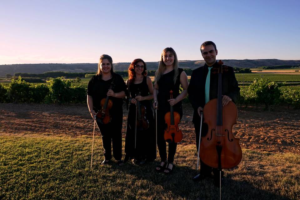 Cuarteto Intermezzo