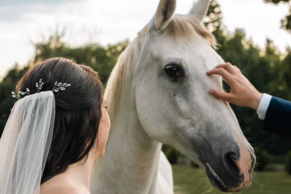 Silver Bull Producciones
