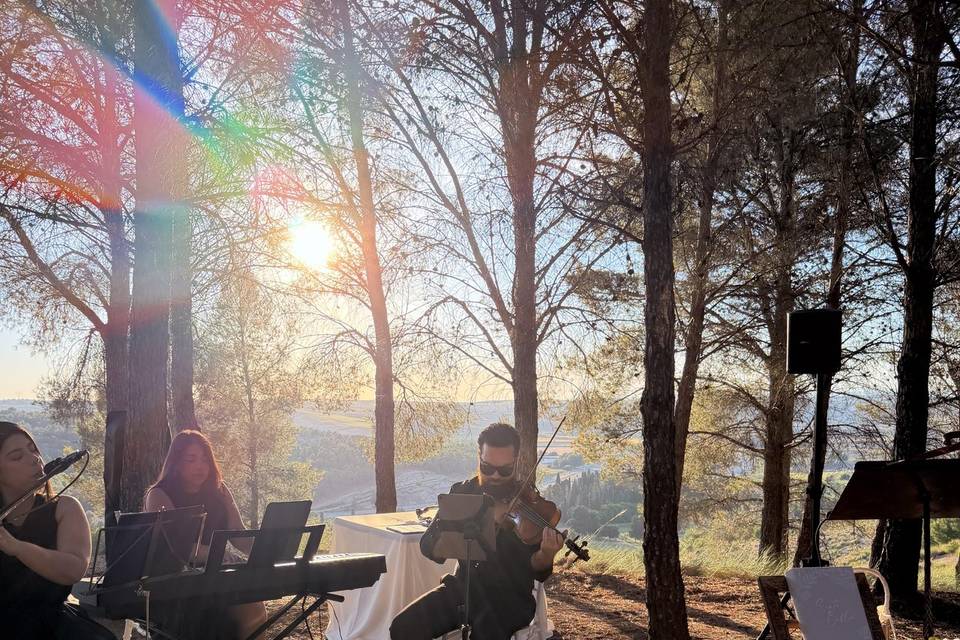 Trio: flauta, viola y piano