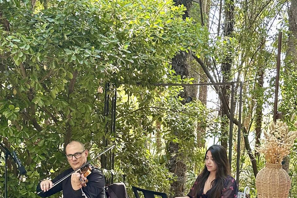 Violín y piano