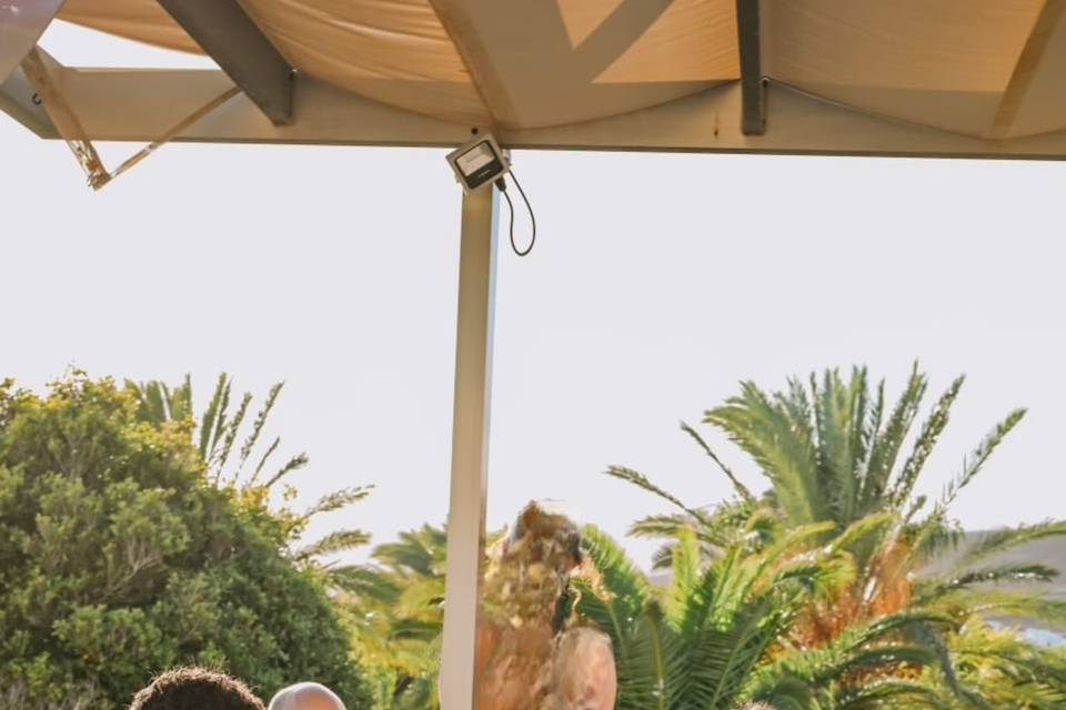 Flauta y viola