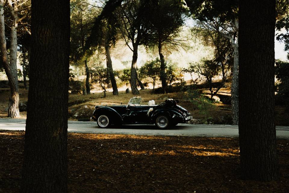 Coche de novios