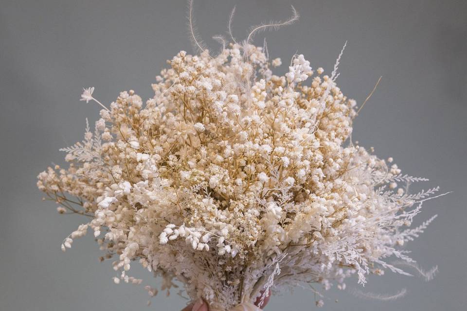 Ramo paniculata