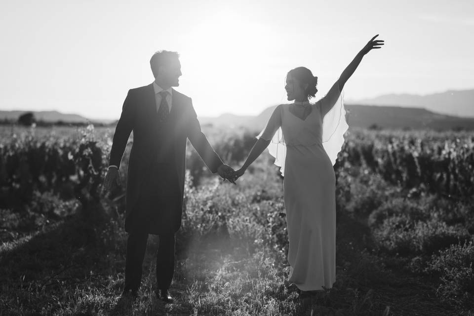 Novios en viñedo en La Rioja