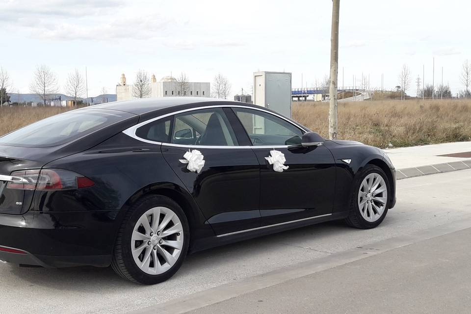 Tesla s model