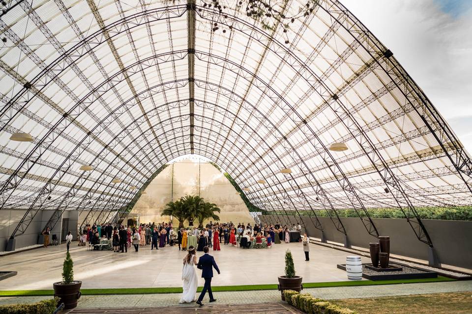 Boda en Campana Boadilla