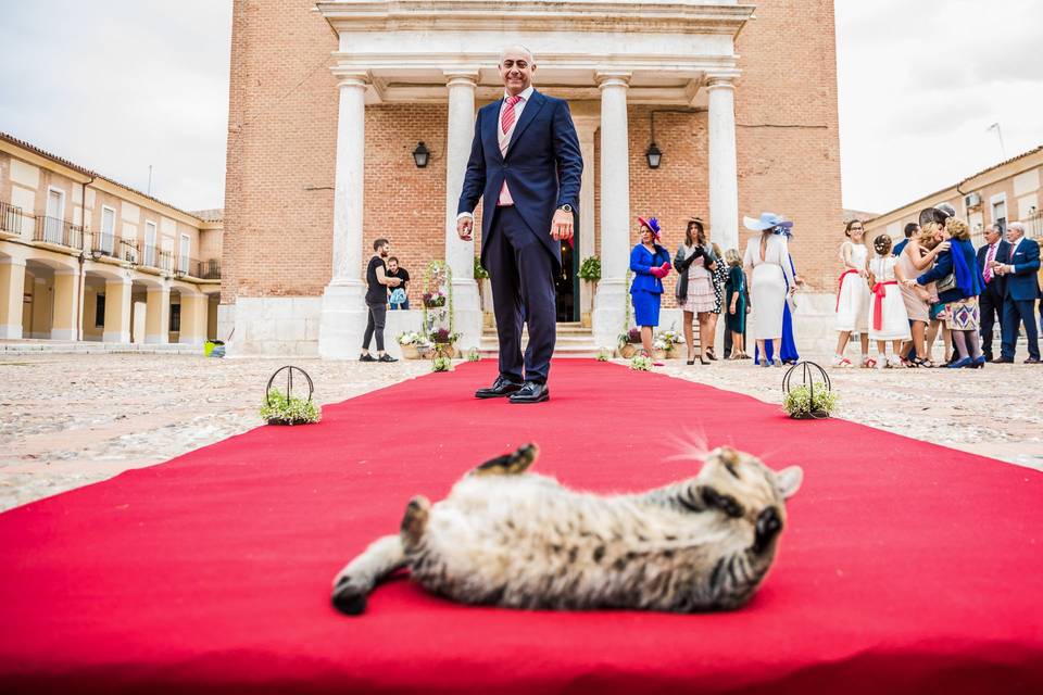 Foto graciosa novio en la iglesia