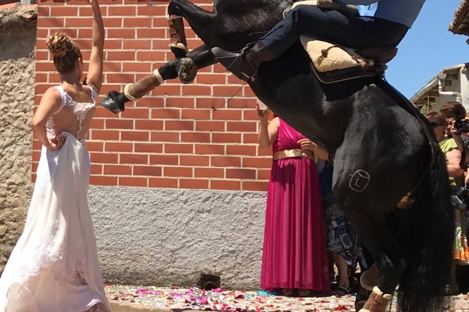Baile con caballos