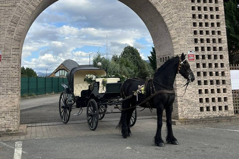 La magia del caballo