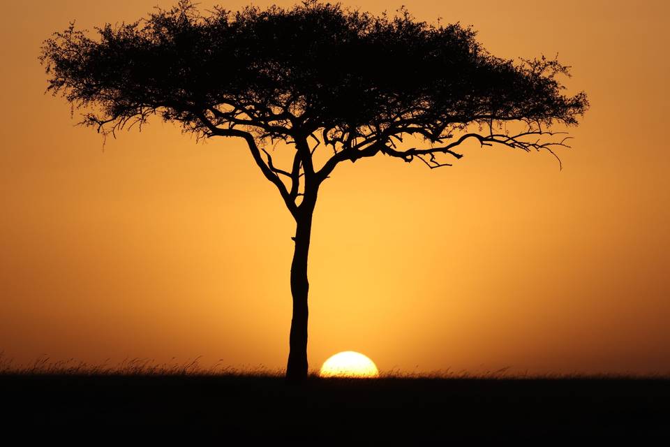 Atardecer en Kenia