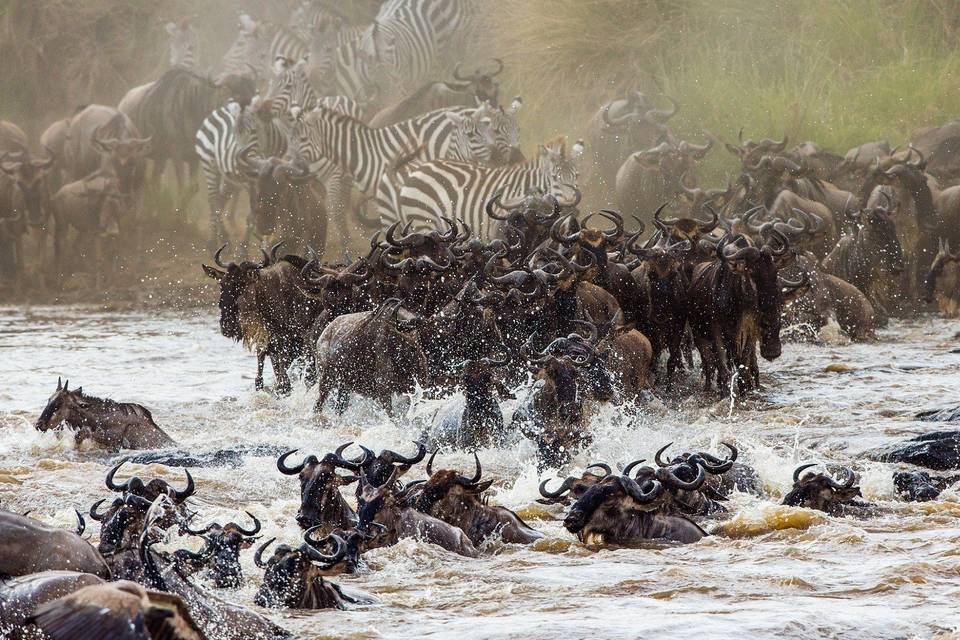 Safari en Kenia