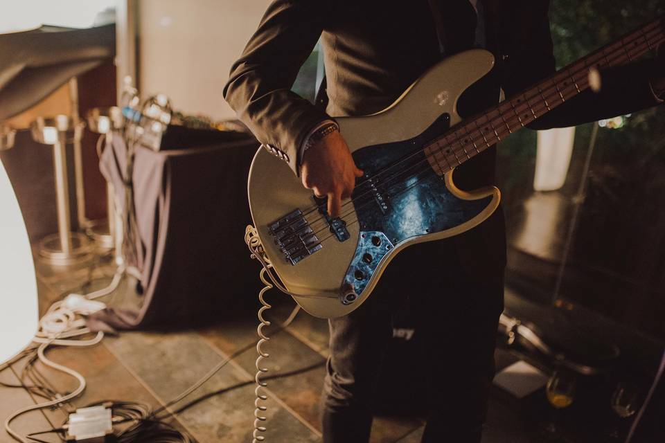 Detalle de la guitarra