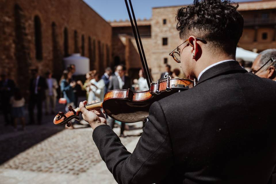 Mariachi en Valencia