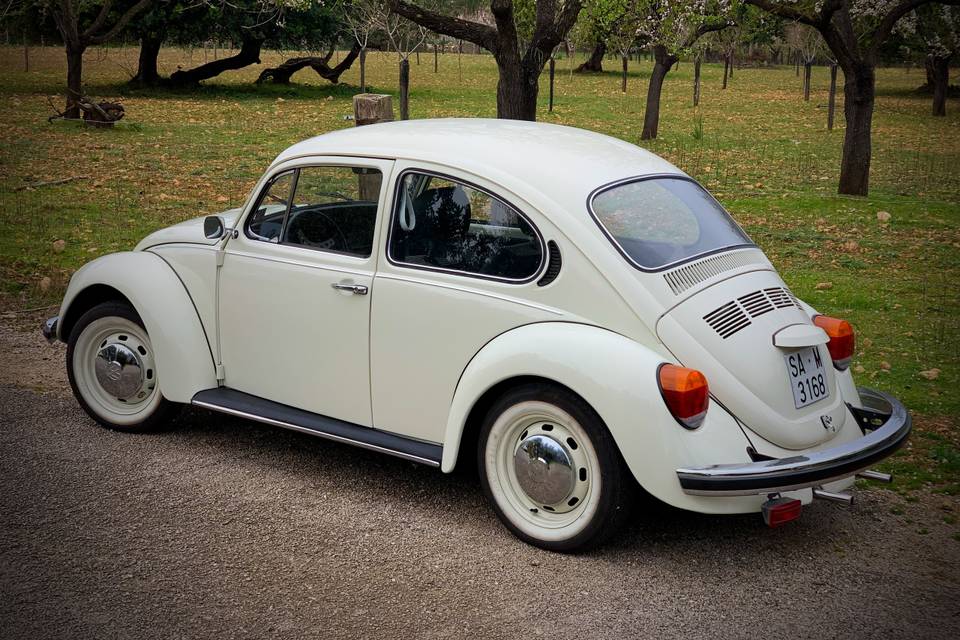 Mallorca Beetle 1982