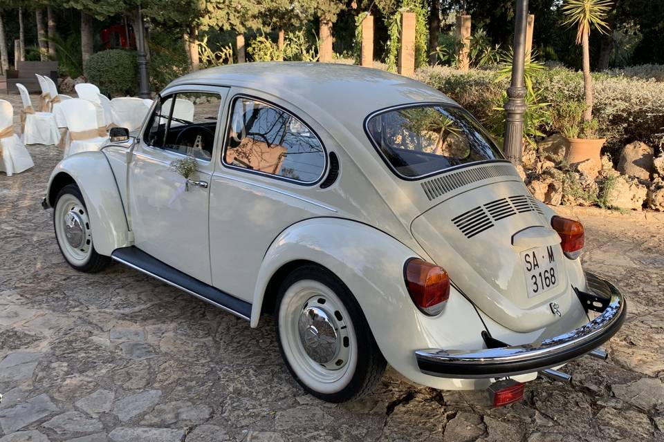 Mallorca Beetle 1982