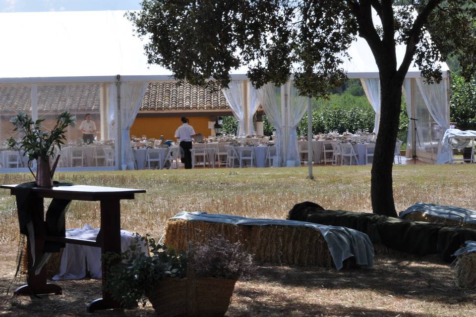 Bodas campestre