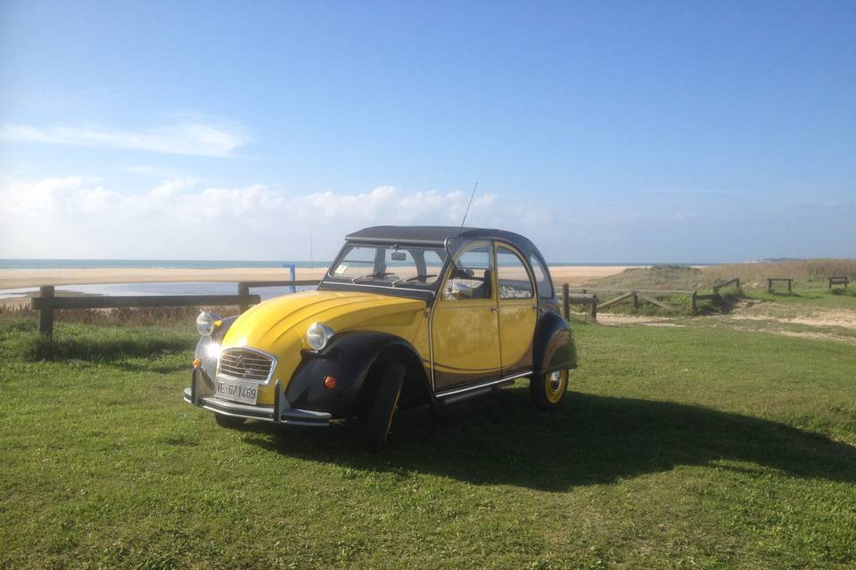 Boda en 2Cv Charleston