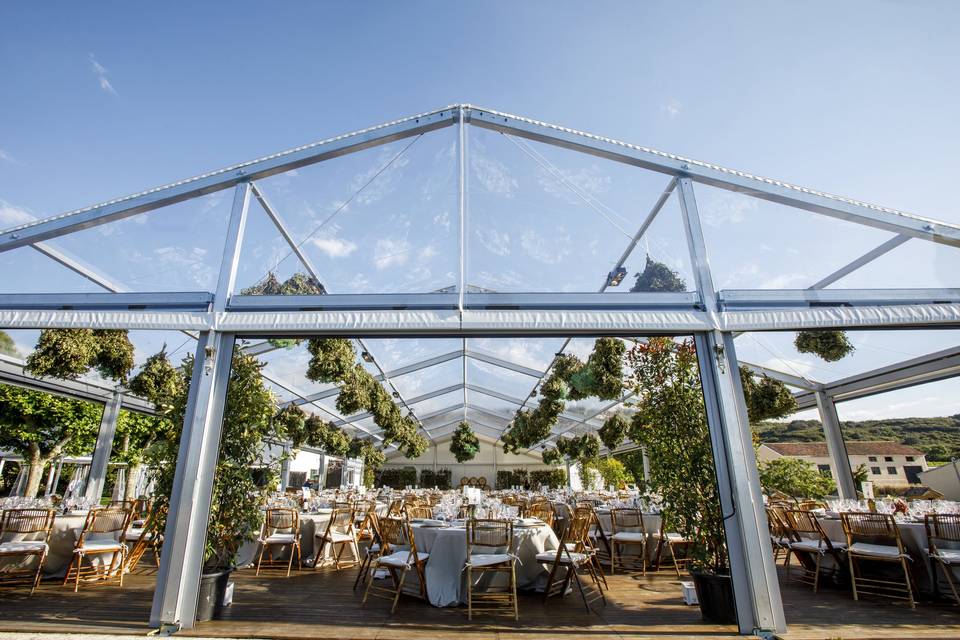 Carpa y mobiliario