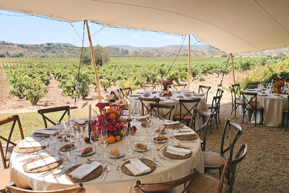 Mobiliario y carpa