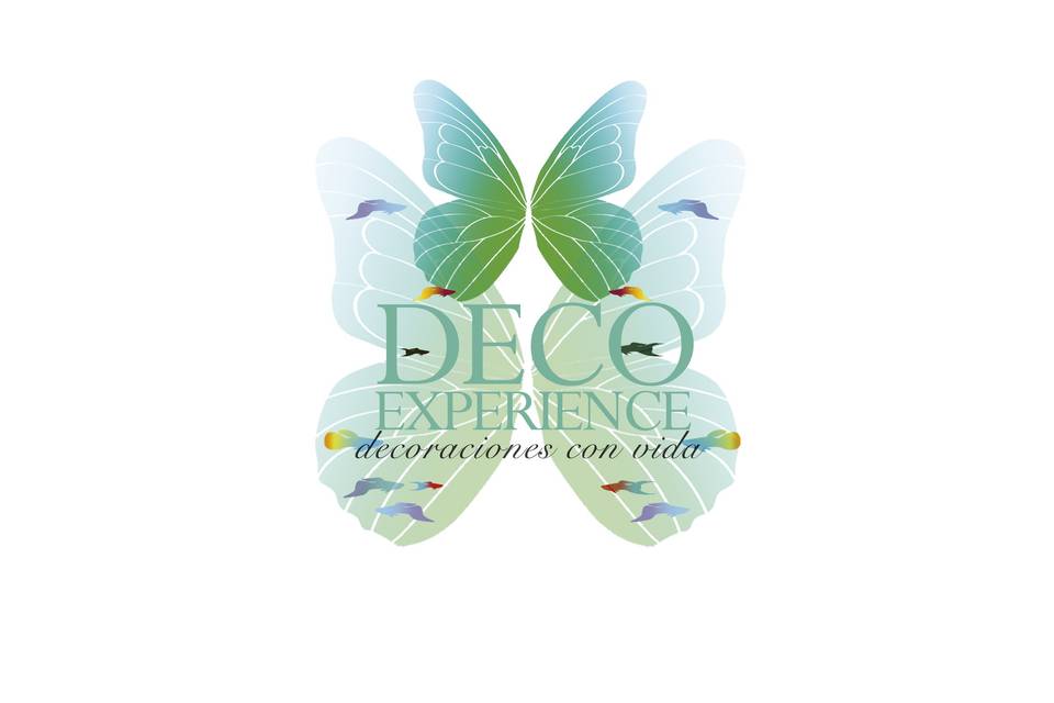 Deco Experience