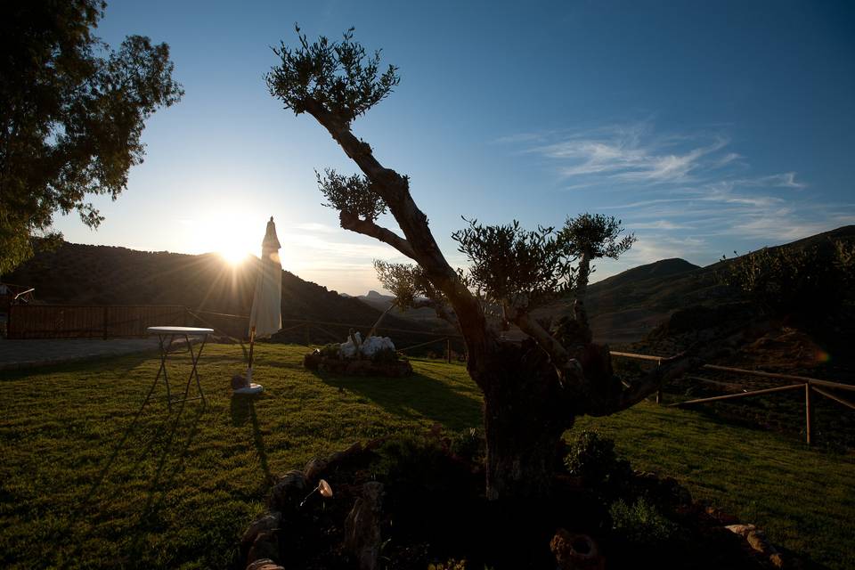 Jardín al atardecer