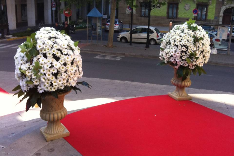 Centros con alfombra azul