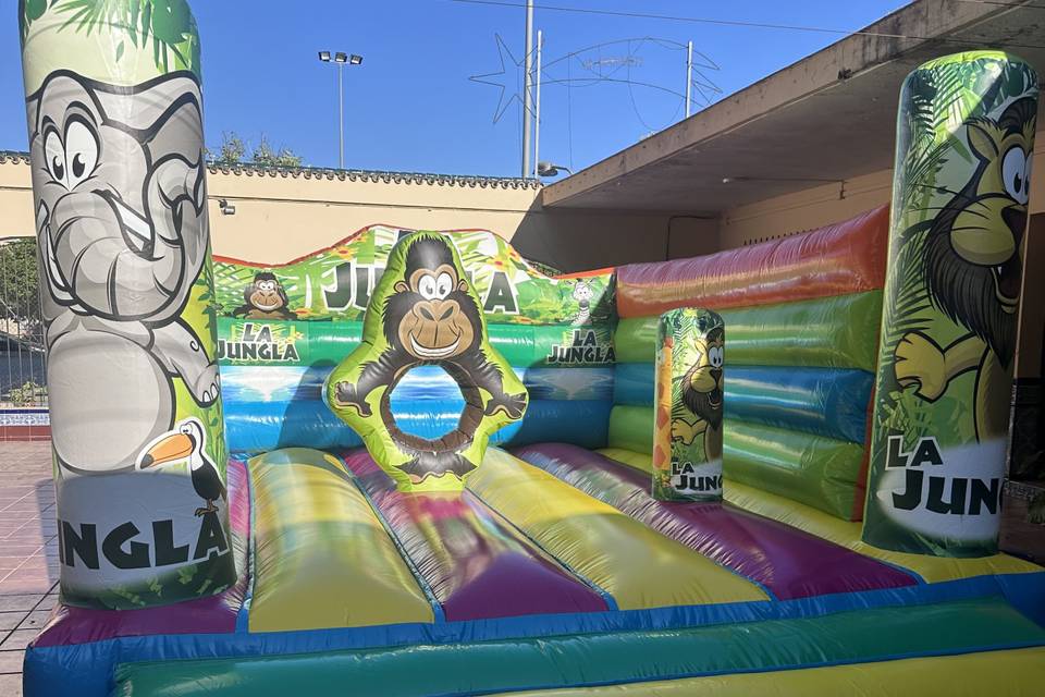 Hinchable plano