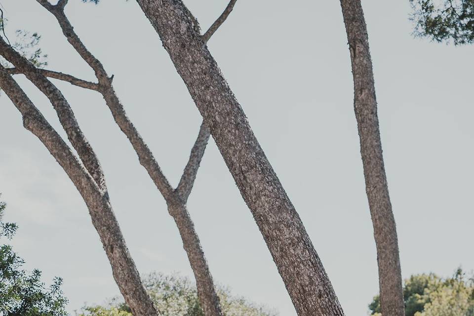 Jic Fotografía