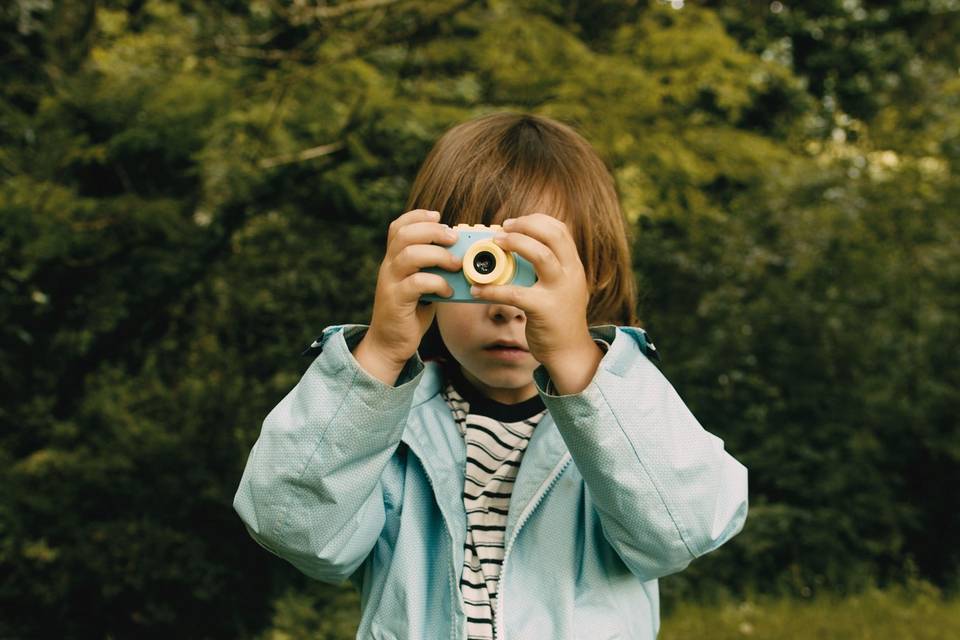 Películas de familia