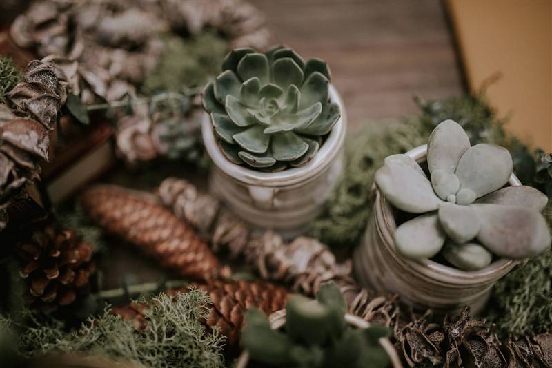 Banquete de boda de invierno