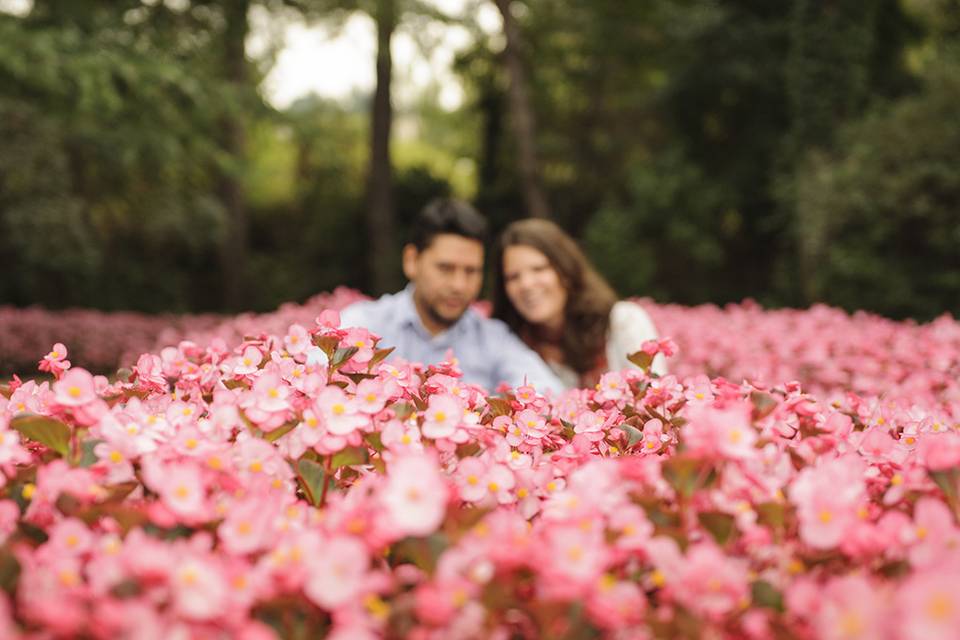 Preboda en Madrid