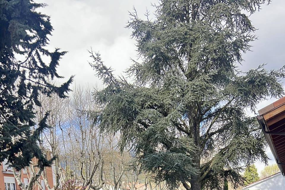 Jardín