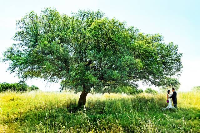 Naturaleza