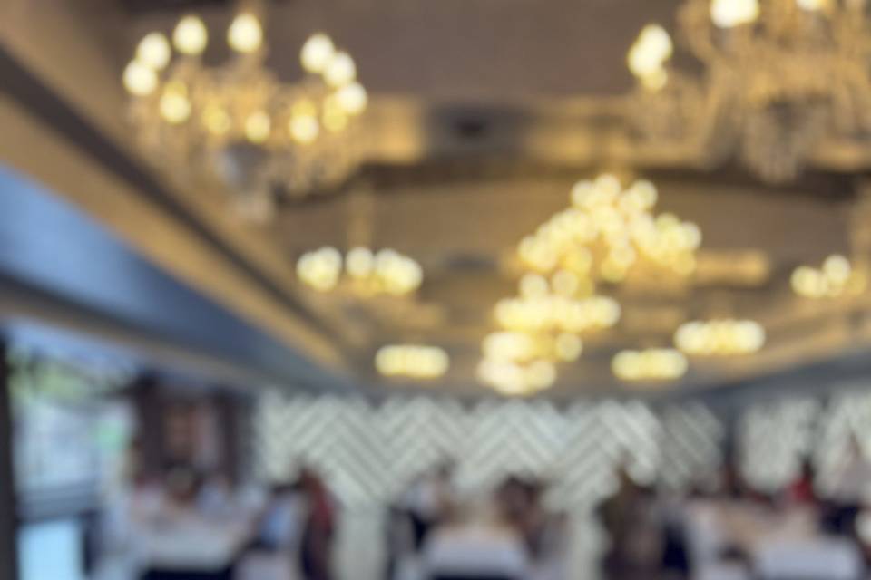 Bodas de plata