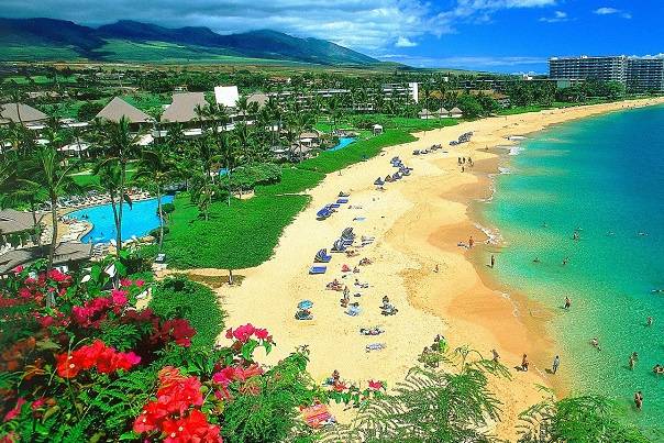 Hawaii Beach